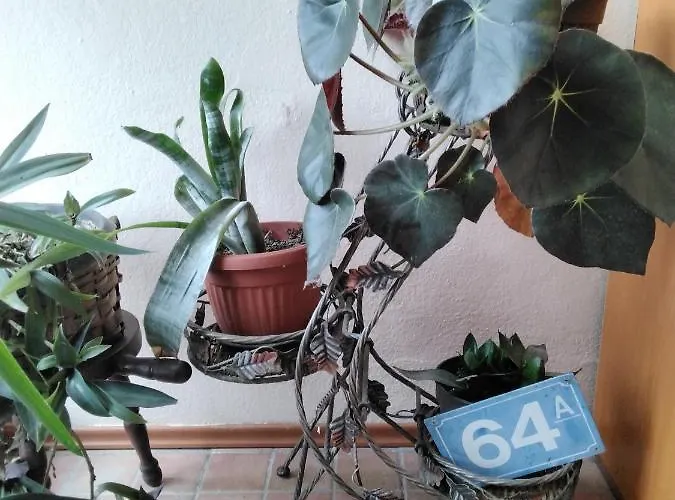 Fina Апартаменты *